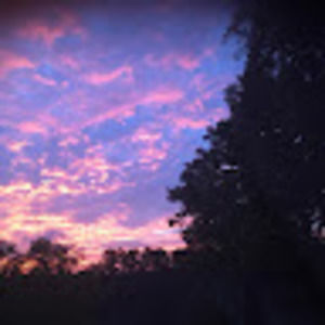 Meet your Posher, Leona